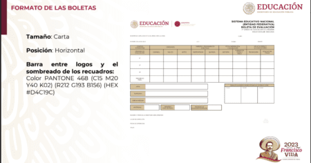 DISEÑO Y CONTENIDO DE LAS BOLETAS DE EVALUACIÓN