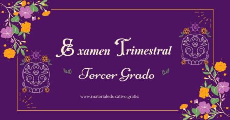 EXAMEN TRIMESTRAL TERCER GRADO PRIMER TRIMESTRE PRIMARIA