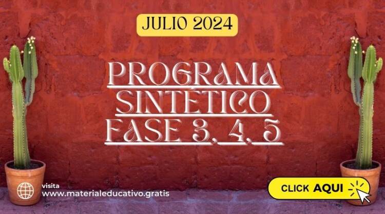 PROGRAMA SINTÉTICO: FASE 3, 4, 5