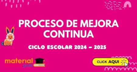 PROCESO DE MEJORA CONTINUA