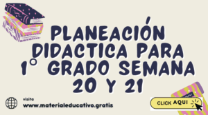 PLANEACIÓN DIDACTICA PARA 1° GRADO SEMANA 20 y 21