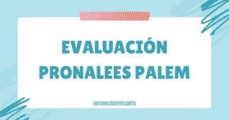 EVALUACIÓN PRONALEES PALEM