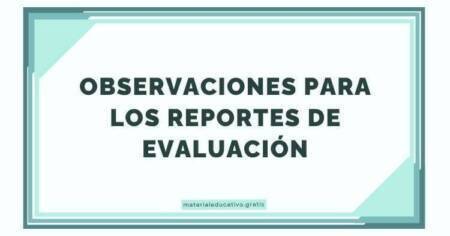 OBSERVACIONES PARA LOS REPORTES DE EVALUACIÓN