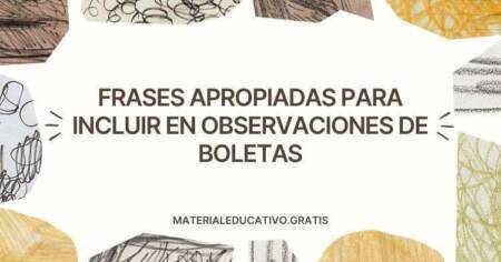 FRASES APROPIADAS PARA INCLUIR EN OBSERVACIONES DE BOLETAS